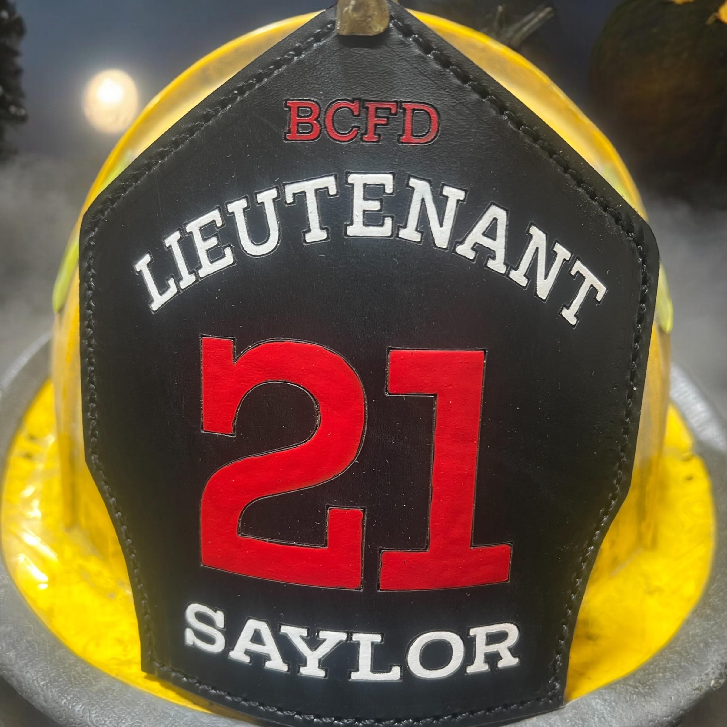 Titan shield back view