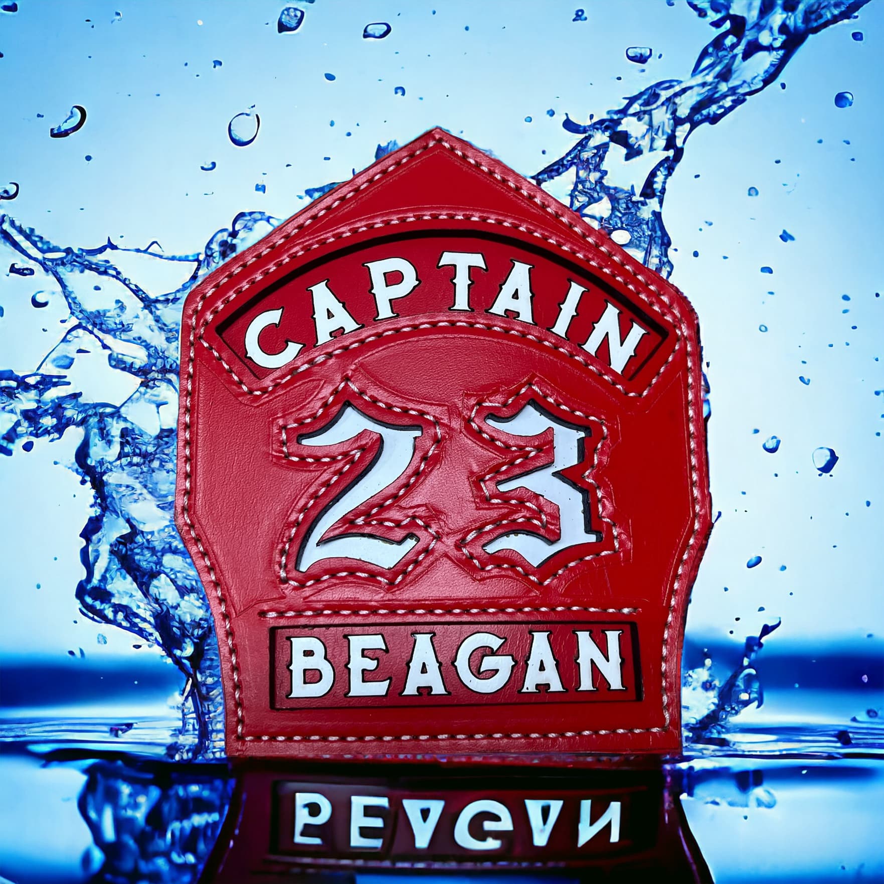 Classic shield close-up